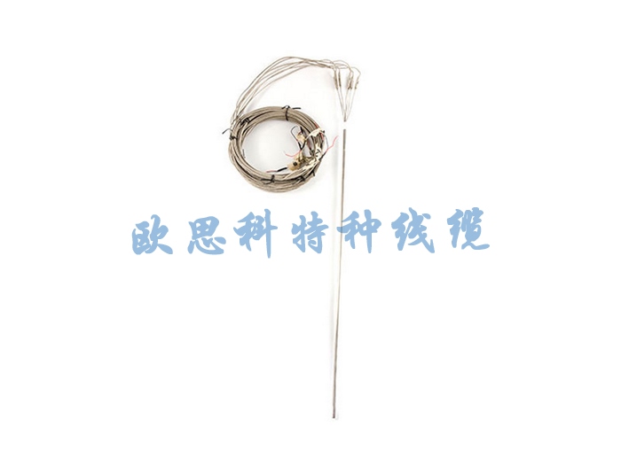 Multi-point armored thermocouple