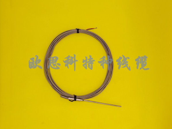 Type K armored thermocouple